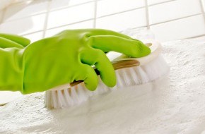 Green cleaning services