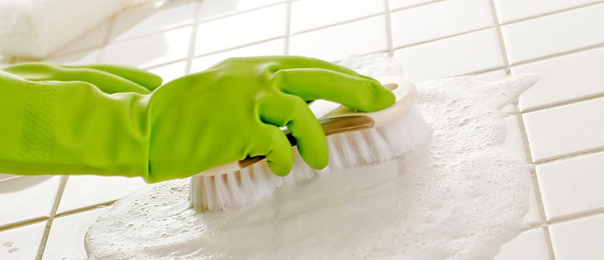 Green cleaning services